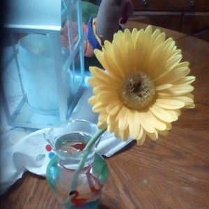 Meet your Posher, Dolores